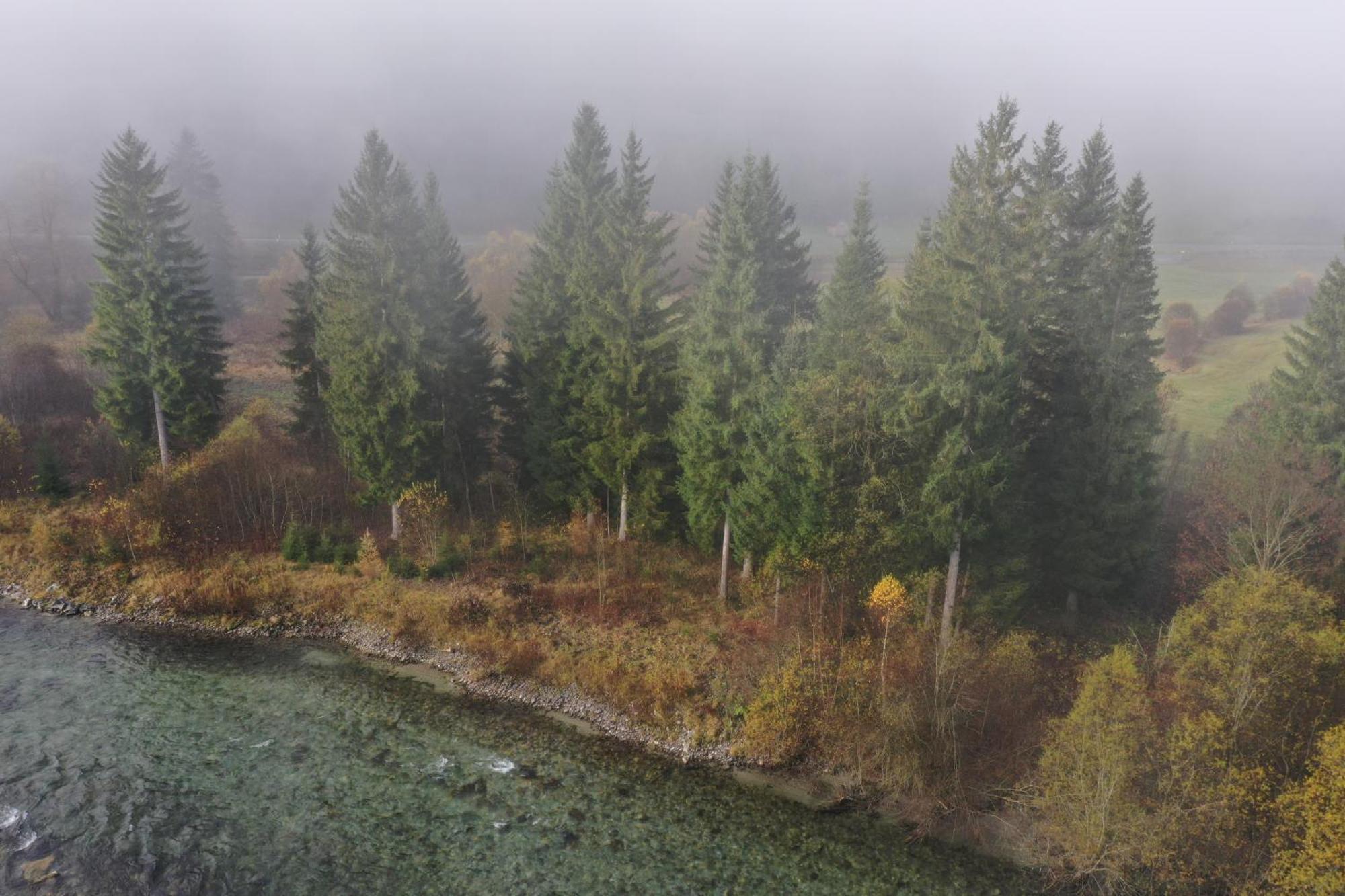 Am Fluss